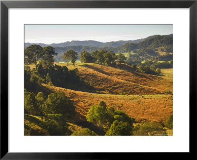 Farmland, Murwillumbah, New South Wales, Australia by Jochen Schlenker Pricing Limited Edition Print image
