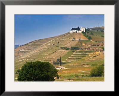 Hermitage Vineyards Behind Tain-L'hermitage, Drome, France by Per Karlsson Pricing Limited Edition Print image