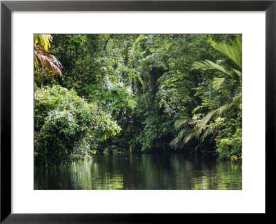 Tortuguero National Park, Costa Rica by Robert Harding Pricing Limited Edition Print image