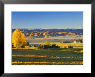 Farmland, Alexandra, Central Otago, South Island, New Zealand, Pacific by Jochen Schlenker Pricing Limited Edition Print image