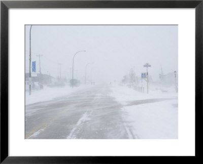 Snow Storm And Blizzard, Churchill, Hudson Bay, Manitoba, Canada, North America by Thorsten Milse Pricing Limited Edition Print image