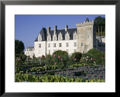 Chateau And Gardens Including Vegetables In Potager, Chateau De Villandry, Centre, France by Guy Thouvenin Pricing Limited Edition Print image
