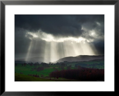 Sunlight Streaks Onto Emerald Fields With Trees And Livestock by Tommy Martin Pricing Limited Edition Print image