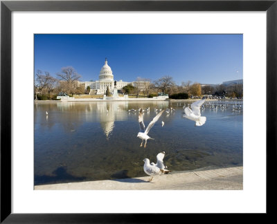 The Capitol, Washington Dc, Usa by Michele Falzone Pricing Limited Edition Print image