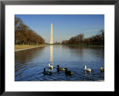 Ducks Swim In The Reflection Of The Washington Monument by Rex Stucky Pricing Limited Edition Print image
