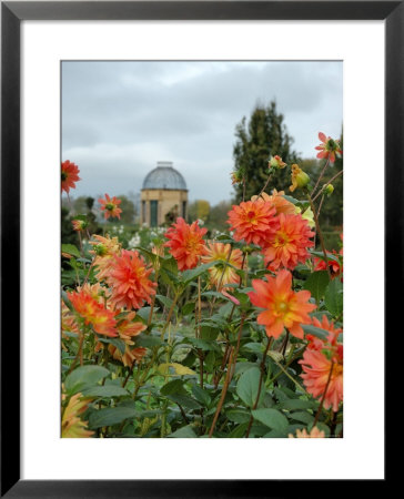 Asters And Dovecote In Gardens Of Chateau De Cormatin, Burgundy, France by Lisa S. Engelbrecht Pricing Limited Edition Print image