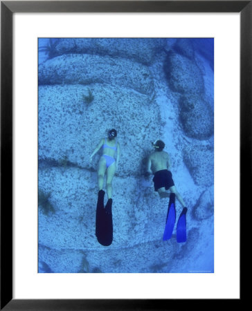 Snorkeling The Bimini Road, North Bimini, Out Islands Of The Bahamas by Greg Johnston Pricing Limited Edition Print image