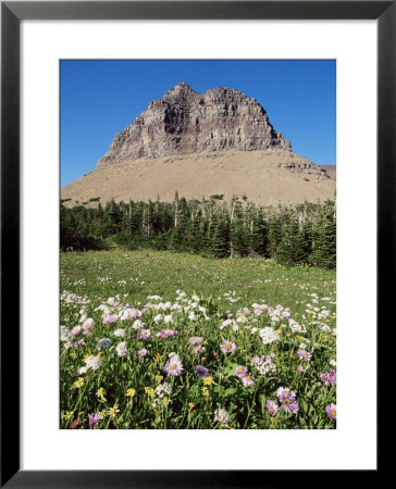 Logan Pass, Glacier National Park, Montana, United States Of America, North America by James Hager Pricing Limited Edition Print image