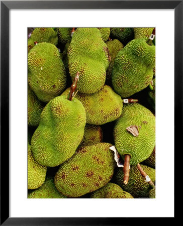The Jack Fruit, Malaysia by Richard I'anson Pricing Limited Edition Print image