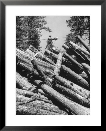 Man Lifting Logs Out Of A Lumber Pile by J. R. Eyerman Pricing Limited Edition Print image