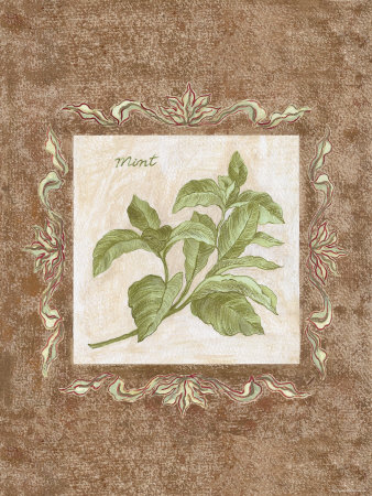Mint by Elizabeth Garrett Pricing Limited Edition Print image
