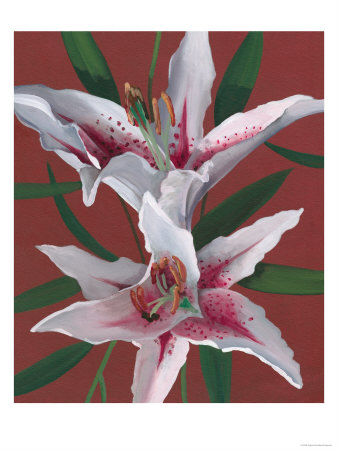 Stargazer by Sophia Davidson Pricing Limited Edition Print image