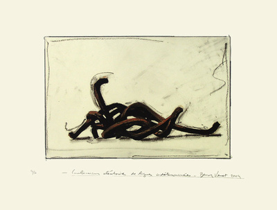 Combinaison Aleatoire De Lignes Indeterminees 1 by Bernar Venet Pricing Limited Edition Print image