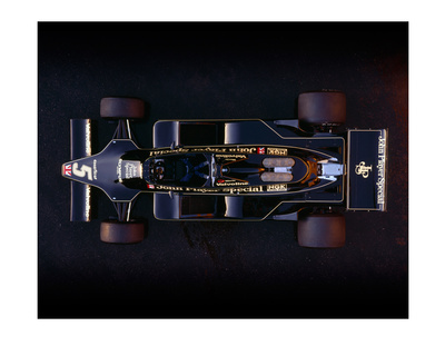 Lotus 79 Ford Top - 1978 by Rick Graves Pricing Limited Edition Print image
