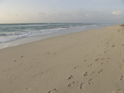 Foot Prints Along The Beach Early Morning, Miami Beach by Oote Boe Pricing Limited Edition Print image