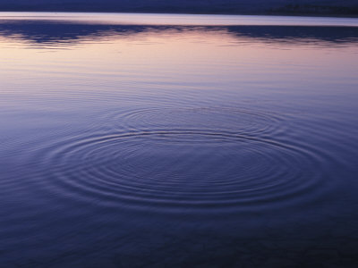 Reflection And Water Ripples At Sunset by Oote Boe Pricing Limited Edition Print image