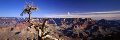 Yaki Point, Grand Canyon National Park by Walter Bibikow Pricing Limited Edition Print image