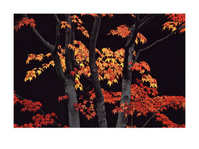 Autumn Sonata by Allan Zee Pricing Limited Edition Print image
