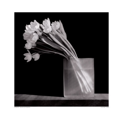 Tulip, C.1986 by Robert Mapplethorpe Pricing Limited Edition Print image