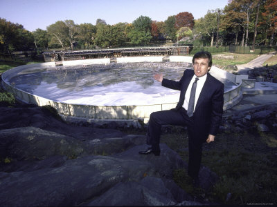 Real Estate Developer Donald J. Trump At Kate Wollman Memorial Rink Which He Oversaw Renovations by Ted Thai Pricing Limited Edition Print image