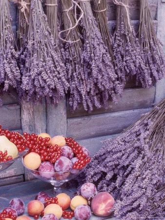 Dried Lavender Hung In Bunches On Wall, Peach, Plum & Red Currants In Glass Bowls by Linda Burgess Pricing Limited Edition Print image
