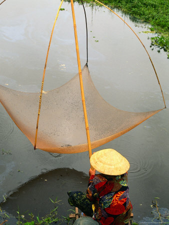 Woman Raising Fixed Fishing Net, Vang Vieng, Vientiane, Laos by Bernard Napthine Pricing Limited Edition Print image