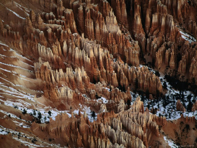 Bryce Canyon Rock Needles, Bryce Canyon National Park, Utah, Usa by Jim Wark Pricing Limited Edition Print image