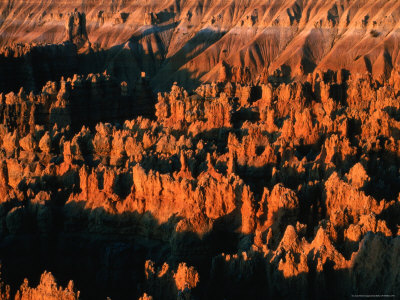 Eroded Sandstone Pinnacles At Sunrise, Bryce Canyon National Park, United States Of America by Chris Mellor Pricing Limited Edition Print image
