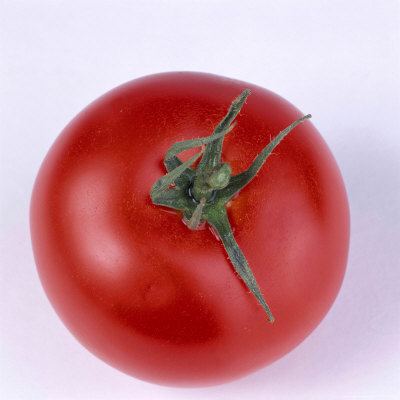 Tomato Cut Out by Jan Ceravolo Pricing Limited Edition Print image