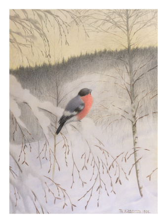 Bullfinch On Frosty Twig, 1906 (Coloured Pencil On Paper) by Theodor Severin Kittelsen Pricing Limited Edition Print image