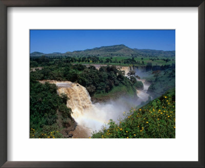 Blue Nile Falls Or Tis Abay (Smoke Of The Nile), Blue Nile Falls, Amhara, Ethiopia by Ariadne Van Zandbergen Pricing Limited Edition Print image