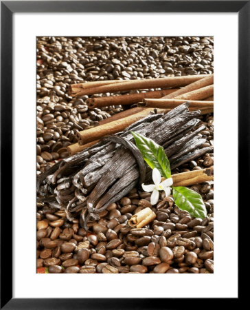 Coffee Beans, Vanilla Pods And Cinnamon Sticks by Karl Newedel Pricing Limited Edition Print image