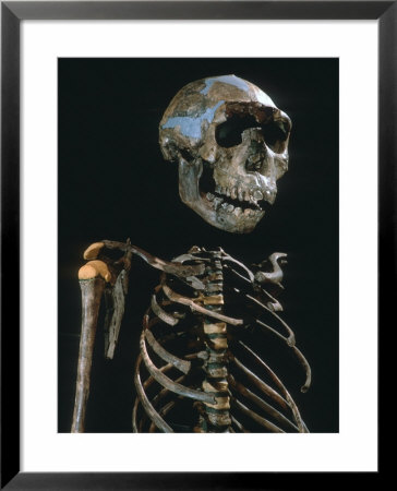 Lake Turkana Boy, National Museums, Nairobi, Kenya by Kenneth Garrett Pricing Limited Edition Print image