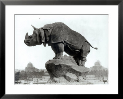 Rhinoceros, 1878, By Alfred Jacquemart by Adolphe Giraudon Pricing Limited Edition Print image