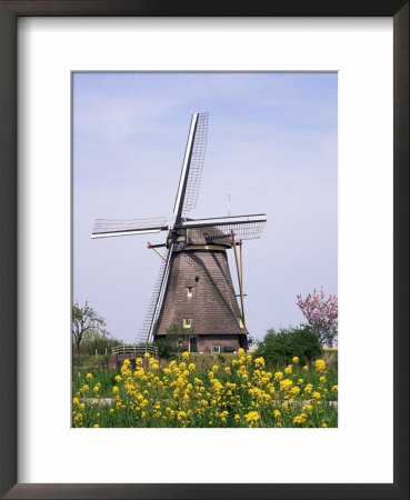 Windmill, Kinderdijk, Near Rotterdam, Holland by Roy Rainford Pricing Limited Edition Print image