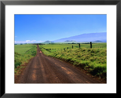 A View Of Mauna Kea From The Road Leading Through Parker Ranch, Waimea, Hawaii, Usa by Ann Cecil Pricing Limited Edition Print image