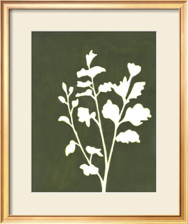Four Seasons Foliage Ii by Megan Meagher Pricing Limited Edition Print image