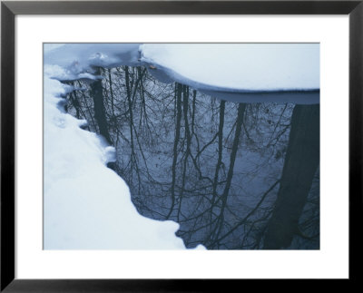 Reflection Of Trees On A Stream Bordered By Snow by Todd Gipstein Pricing Limited Edition Print image