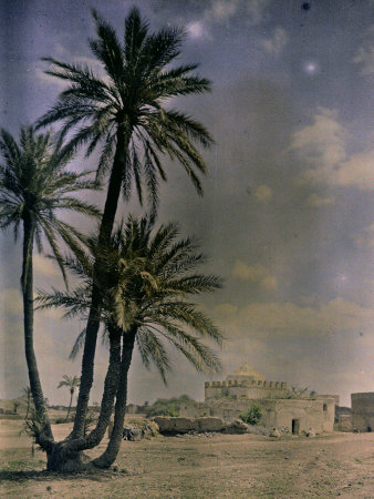 Palms At Marrakesh by Henrie Chouanard Pricing Limited Edition Print image