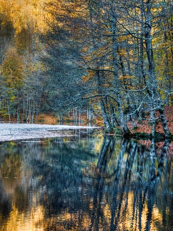 Autumn Reflections by Nejdet Duzen Pricing Limited Edition Print image