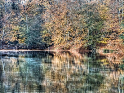 Autumn Reflections Iii by Nejdet Duzen Pricing Limited Edition Print image