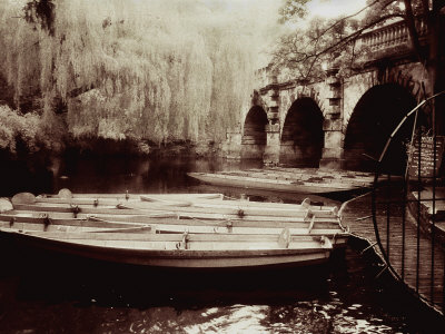 Punting Boats, Weeping Willow, Bridge, Oxford, Uk by Images Monsoon Pricing Limited Edition Print image