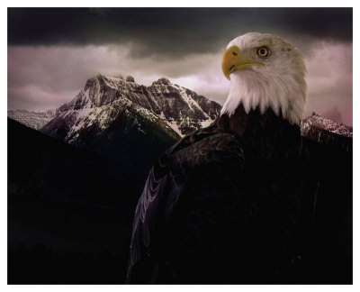 Eagle Mountain by Steve Hunziker Pricing Limited Edition Print image