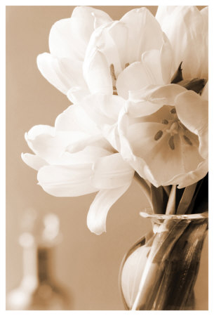 Tulips In Sepia by Christine Zalewski Pricing Limited Edition Print image