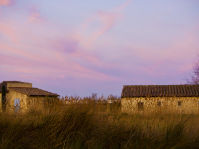 Italian Countryside by Scott Stulberg Pricing Limited Edition Print image