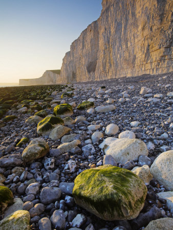 Golden Late Evening Sunlight Radiates Off The White Chalk Cliffs At Birling Gap, England, Uk by Adam Burton Pricing Limited Edition Print image