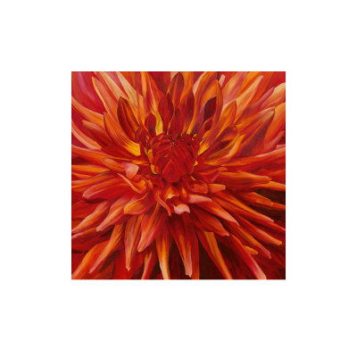 Fabulous Orange Dahlia by Sarah Caswell Pricing Limited Edition Print image