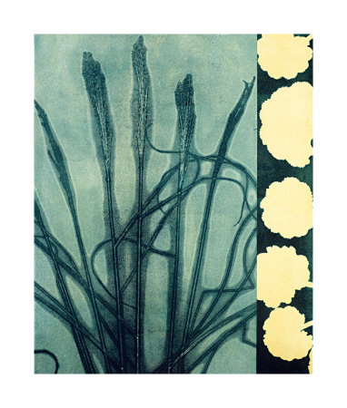 Indigo Grass by Mary Margaret Briggs Pricing Limited Edition Print image