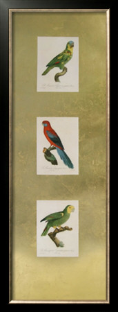 Parrot Panel Ii by Jacques Barraband Pricing Limited Edition Print image