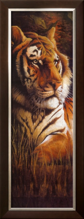Tiger by Clay Taylor Pricing Limited Edition Print image